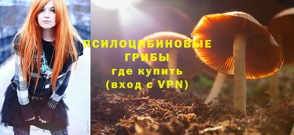 ALPHA PVP Краснослободск